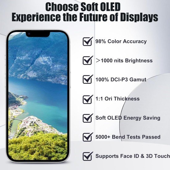 DD | Replacement Soft OLED 120HZ IC Removable | For iPhone 13 Pro | With Tools